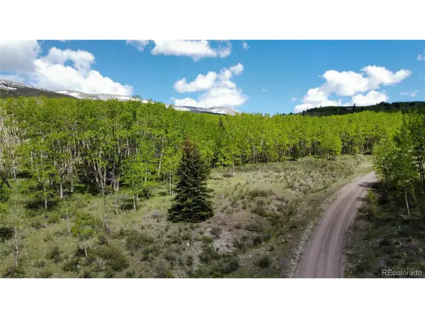 63 Pine Ridge Rd, Fairplay, CO 80440