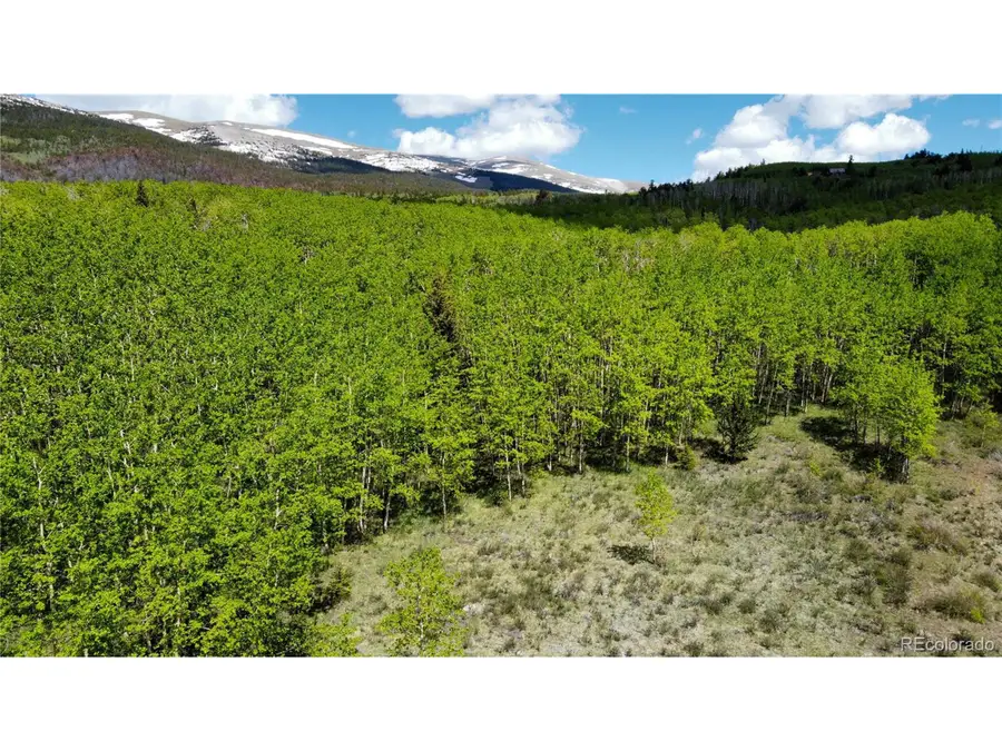 63 Pine Ridge Rd, Fairplay, CO 80440 - #2