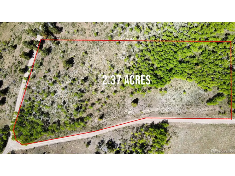 63 Pine Ridge Rd, Fairplay, CO 80440 - #3