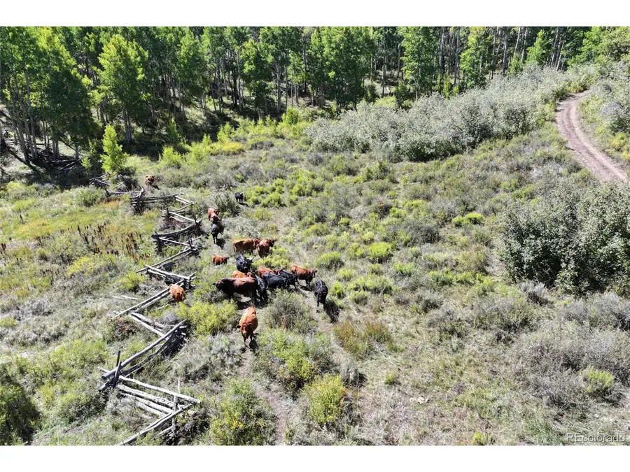 0 Divide Rd, Whitewater, CO 81527 - Image #2