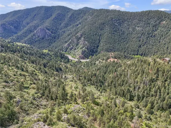 5162 Raven Gulch Rd, Morrison, CO 80465