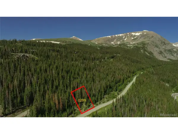 299 Cr 805, Breckenridge, CO 80424