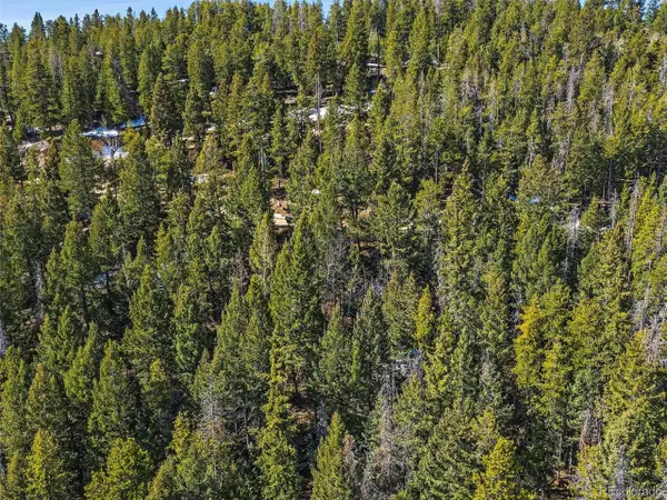 33131 Lynx Ln, Evergreen, CO 80439