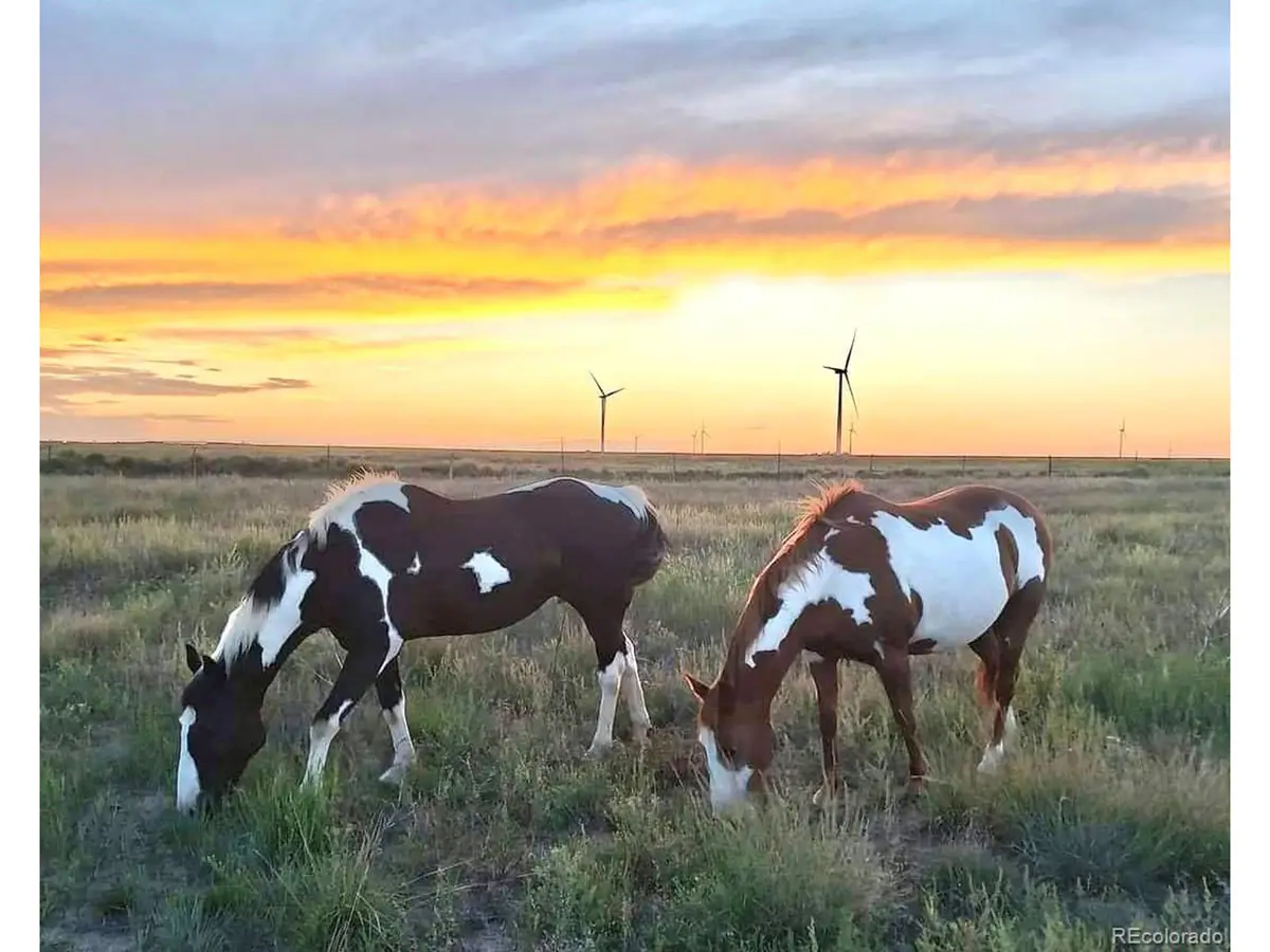 53647 County Road 36.4, Genoa, CO 80818 - Image #1