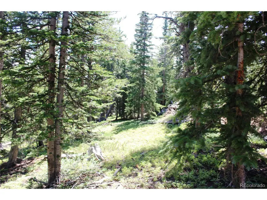 Address Withheld By Seller, Black Hawk, CO 80422 - #2