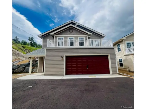 300 Roworth Way, Central City, CO 80427