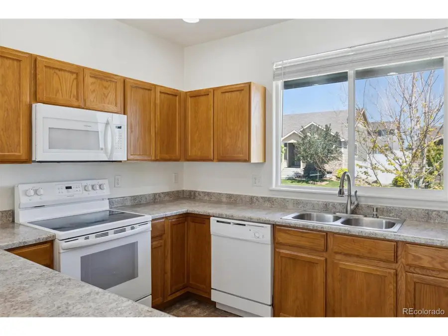 719 Elk Mountain Dr, Severance, CO 80550 - Image #3