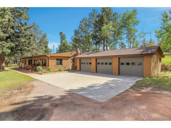 13009 S Parker Ave, Pine, CO 80470