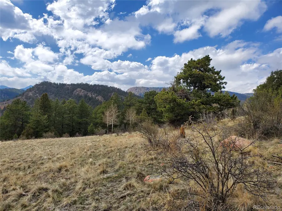 663 Brookside Dr, Bailey, CO 80421 - #2