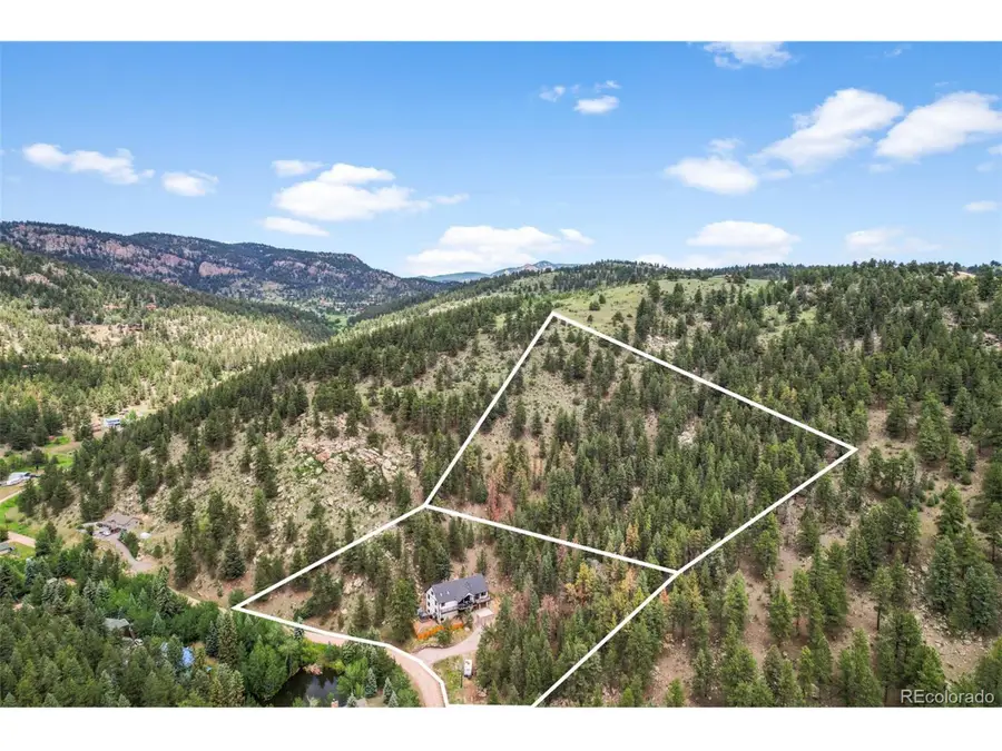 663 Brookside Dr, Bailey, CO 80421 - #3