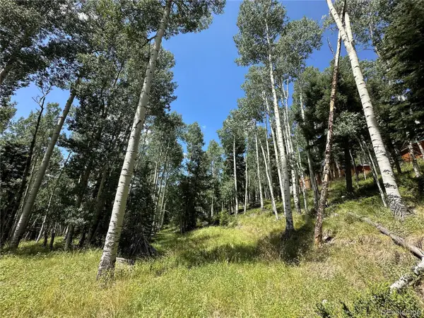 7 Calkins St, Jasper, CO 81132