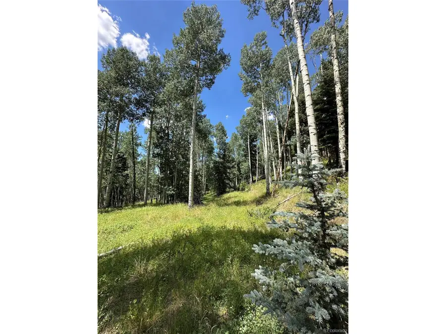 7 Calkins St, Jasper, CO 81132 - Image #2