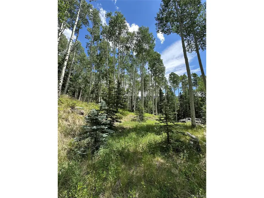 7 Calkins St, Jasper, CO 81132 - Image #3