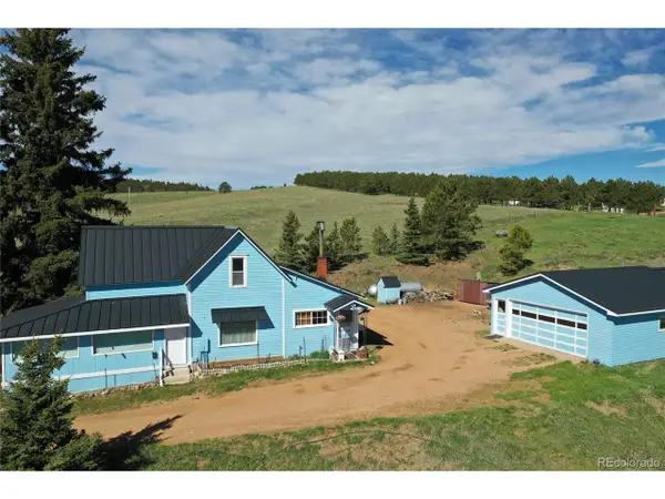 3579 County Rd 42, Florissant, CO 80816