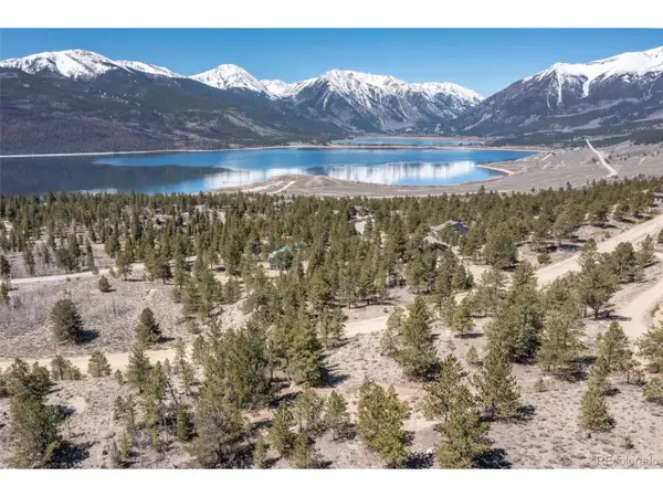 104 Northview, Twin Lakes, CO 81251