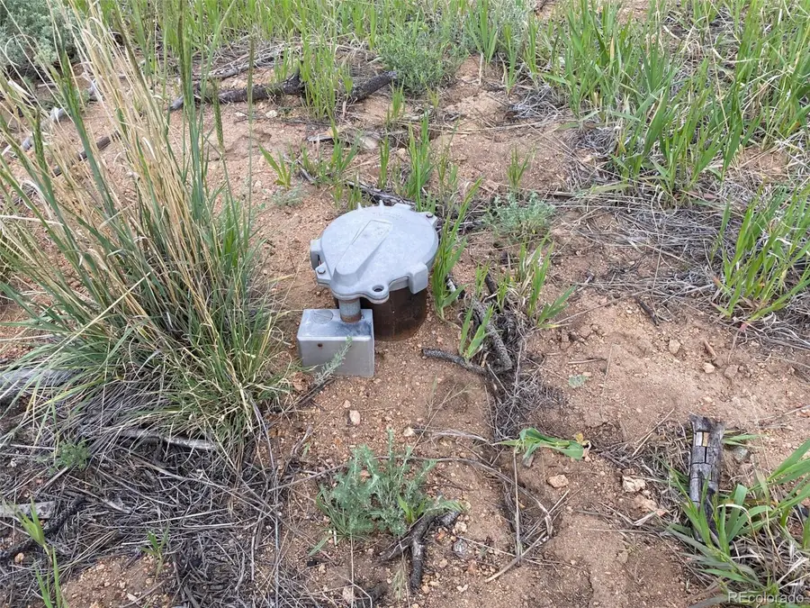 374 Soubry Pl, Fort Garland, CO 81133 - Image #2