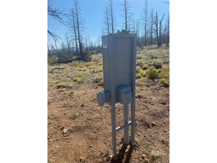 374 Soubry Pl, Fort Garland, CO 81133 - Image #3