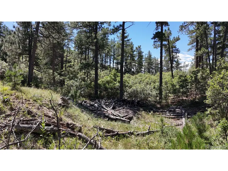 5080 S Perry Park Rd, Sedalia, CO 80135 - #2