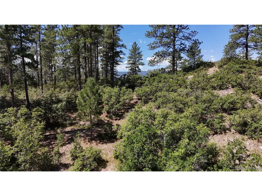 5080 S Perry Park Rd, Sedalia, CO 80135 - #3