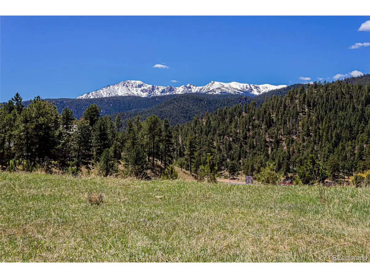 2721 Mountain Glen Ct, Woodland Park, CO 80863 - #1