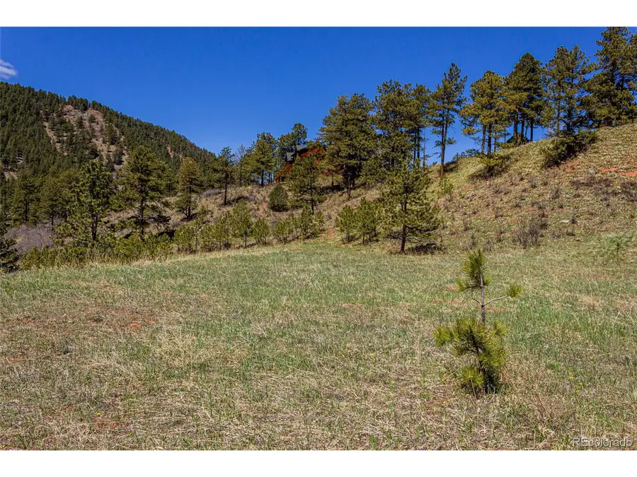 2721 Mountain Glen Ct, Woodland Park, CO 80863 - #3