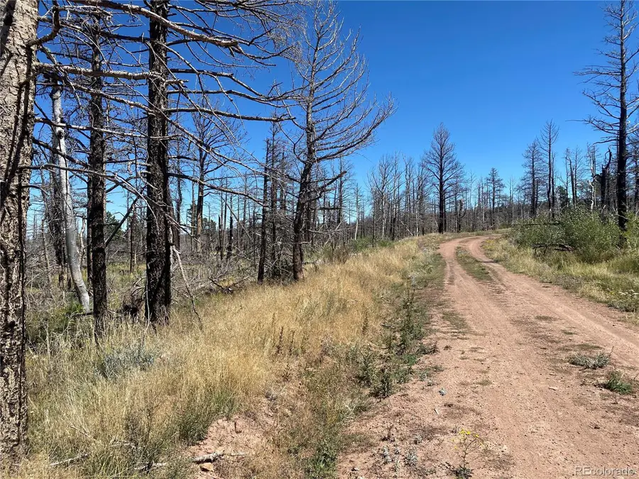 2249 Buonaventura Ln, Fort Garland, CO 81133 - #2