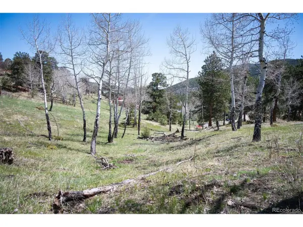 Tbd Pine Valley Rd, Evergreen, CO 80439