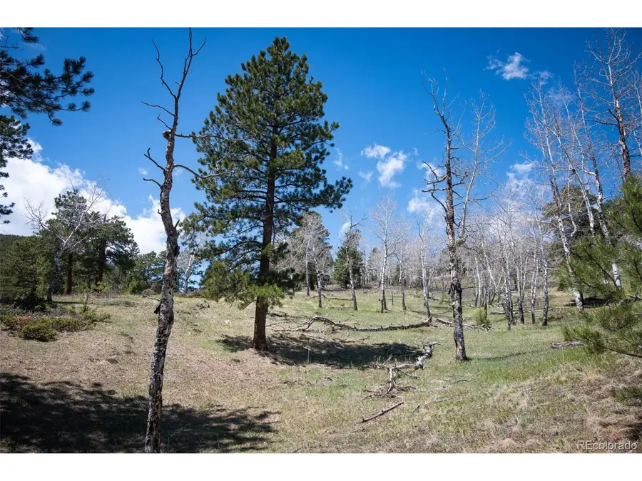 Tbd Pine Valley Rd, Evergreen, CO 80439 - #2