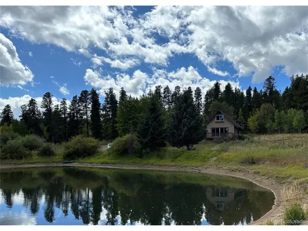 2774 Upper Apex Rd, Central City, CO 80427