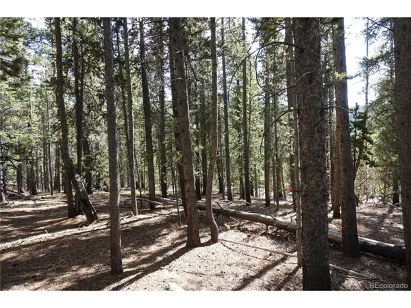 Address Withheld By Seller, Idaho Springs, CO 80452