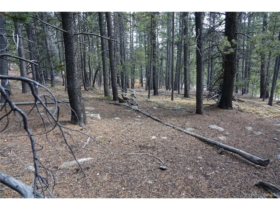 Address Withheld By Seller, Idaho Springs, CO 80452 - Image #3