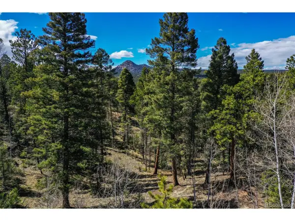 360 Tejon Creek Trl, Florissant, CO 80816