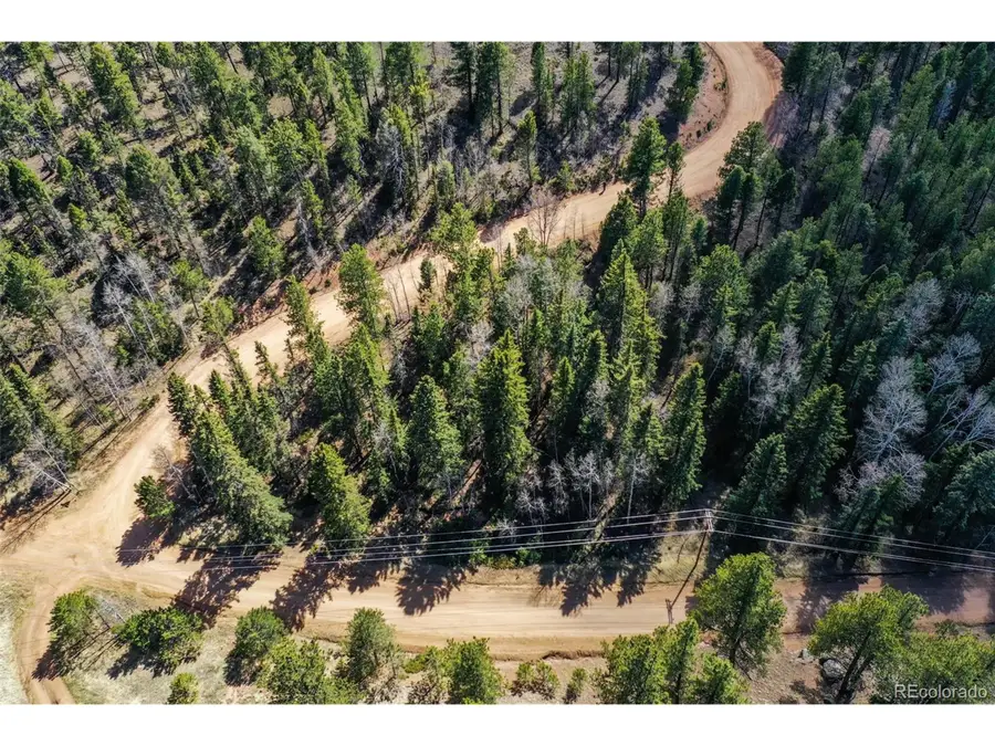 360 Tejon Creek Trl, Florissant, CO 80816 - #2