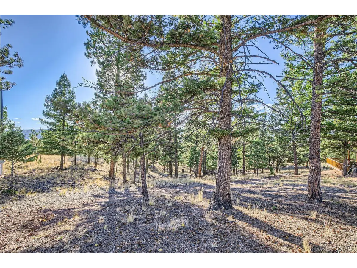 37 Amanda Cir, Florissant, CO 80816 - #1