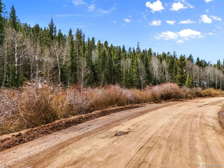 464 E Bison Creek Trl, Florissant, CO 80816 - #2