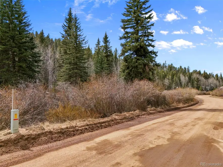 464 E Bison Creek Trl, Florissant, CO 80816 - #3