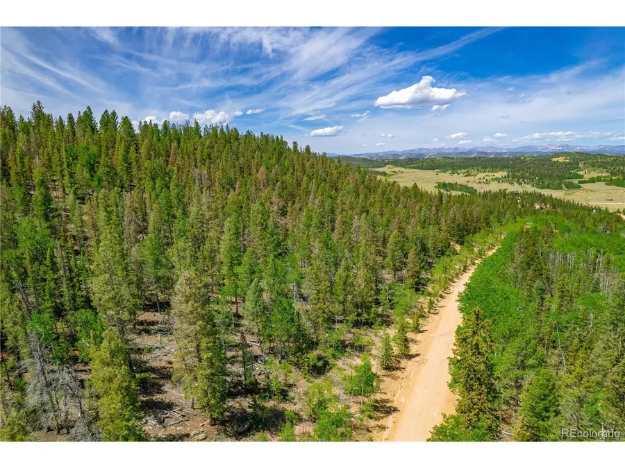496 Houma Way, Como, CO 80432 - #3