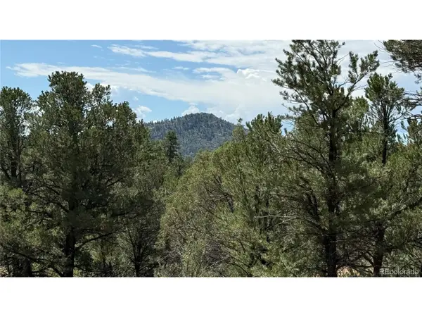 876 Q Path, Cotopaxi, CO 81223