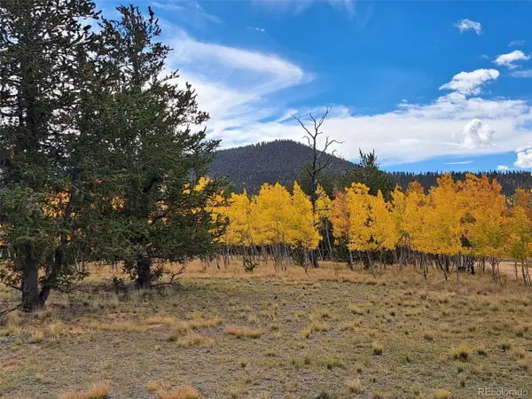 1403 Wampum Ln, Como, CO 80432