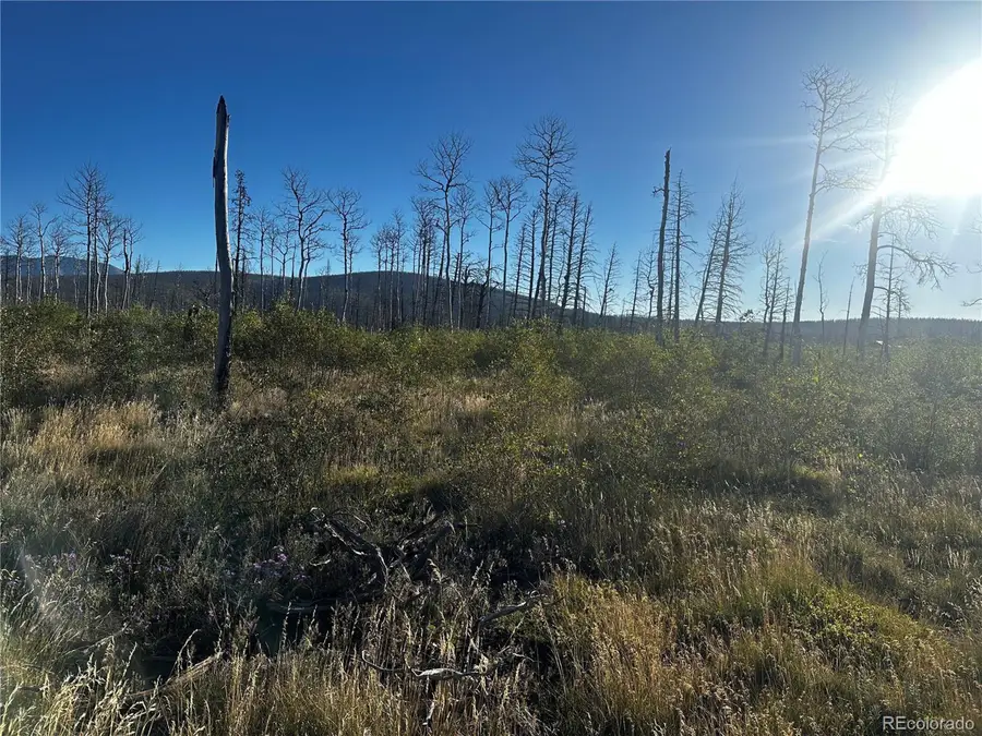 1312 Claytor Ln, Fort Garland, CO 81133 - #2