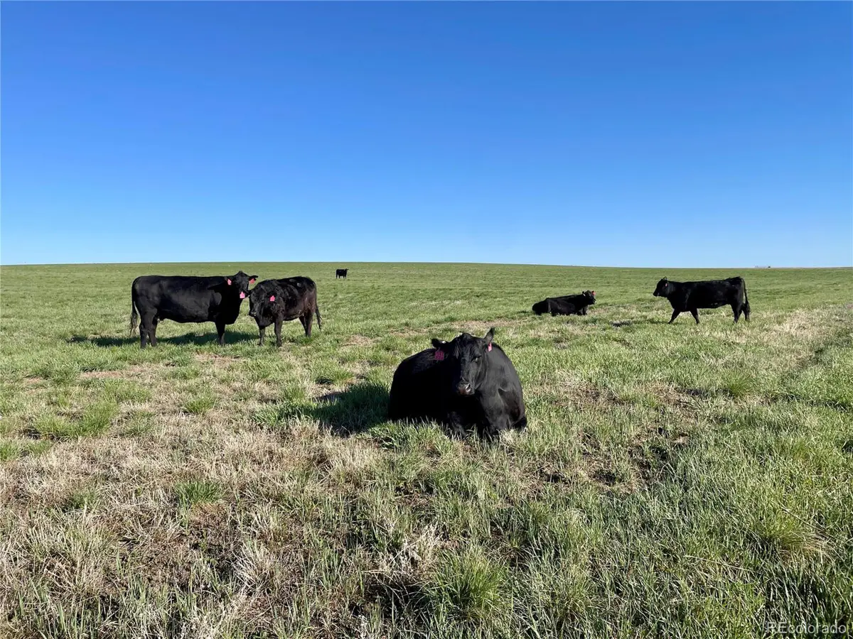 County Road 125, Deer Trail, CO 80105 - #1