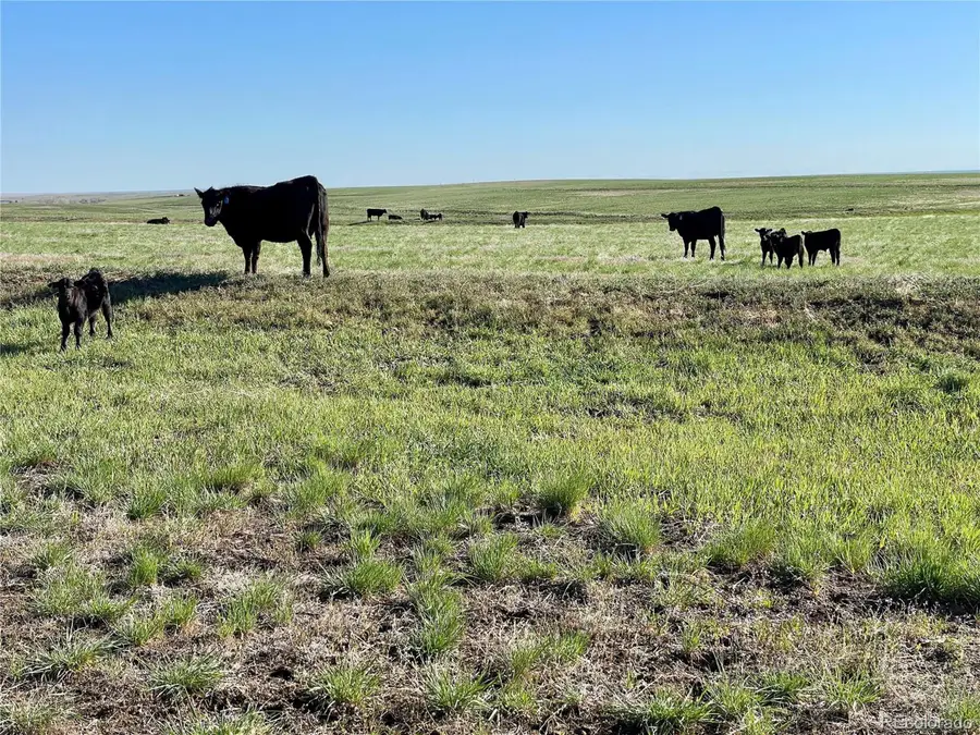 County Road 125, Deer Trail, CO 80105 - #2