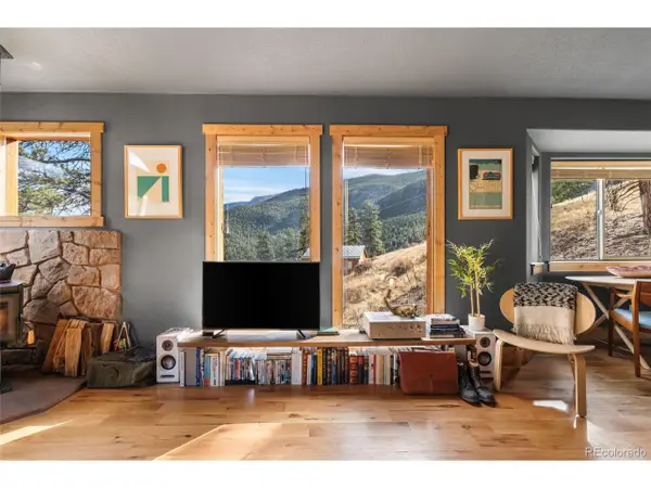 225 E Cline Dr, Shawnee, CO 80475