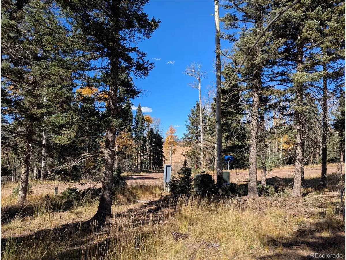 2448 Petito Dr, Fort Garland, CO 81133 - #1