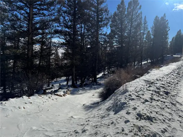 1396 Middle Fork Vis, Fairplay, CO 80440