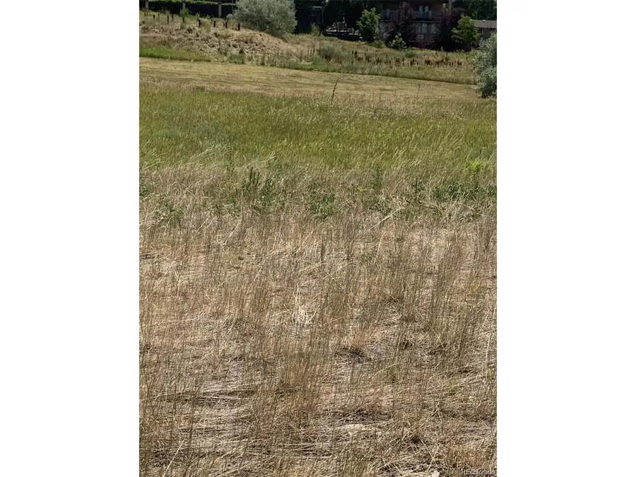 8320 S Cody Way, Littleton, CO 80128 - #3