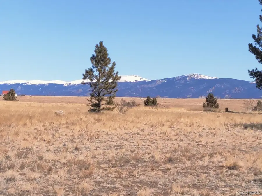 614 Yellowstone Rd, Hartsel, CO 80449 - #3