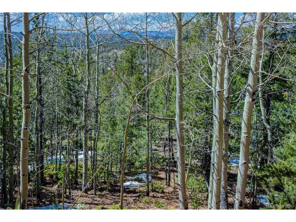 336 Witherite Dr, Divide, CO 80814