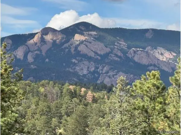 20461 Wandcrest Dr, Pine, CO 80470