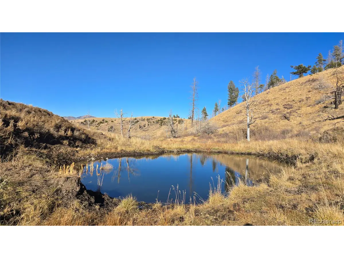 7741 Van Giesen Rd, Fort Garland, CO 81133 - #1